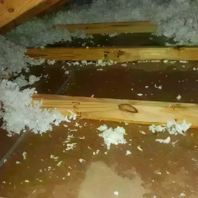 Attic Water Damage in Coraopolis, PA